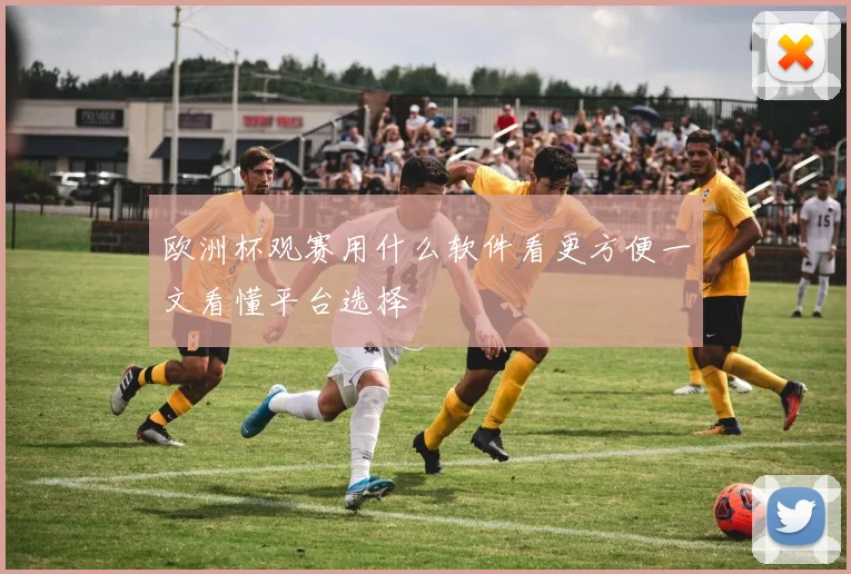 欧洲杯观赛用什么软件看更方便一文看懂平台选择