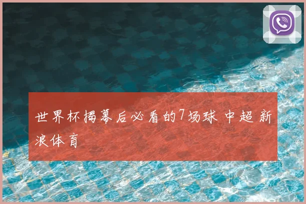 世界杯揭幕后必看的7场球 中超 新浪体育