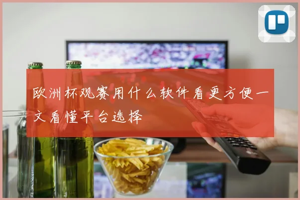 欧洲杯观赛用什么软件看更方便一文看懂平台选择
